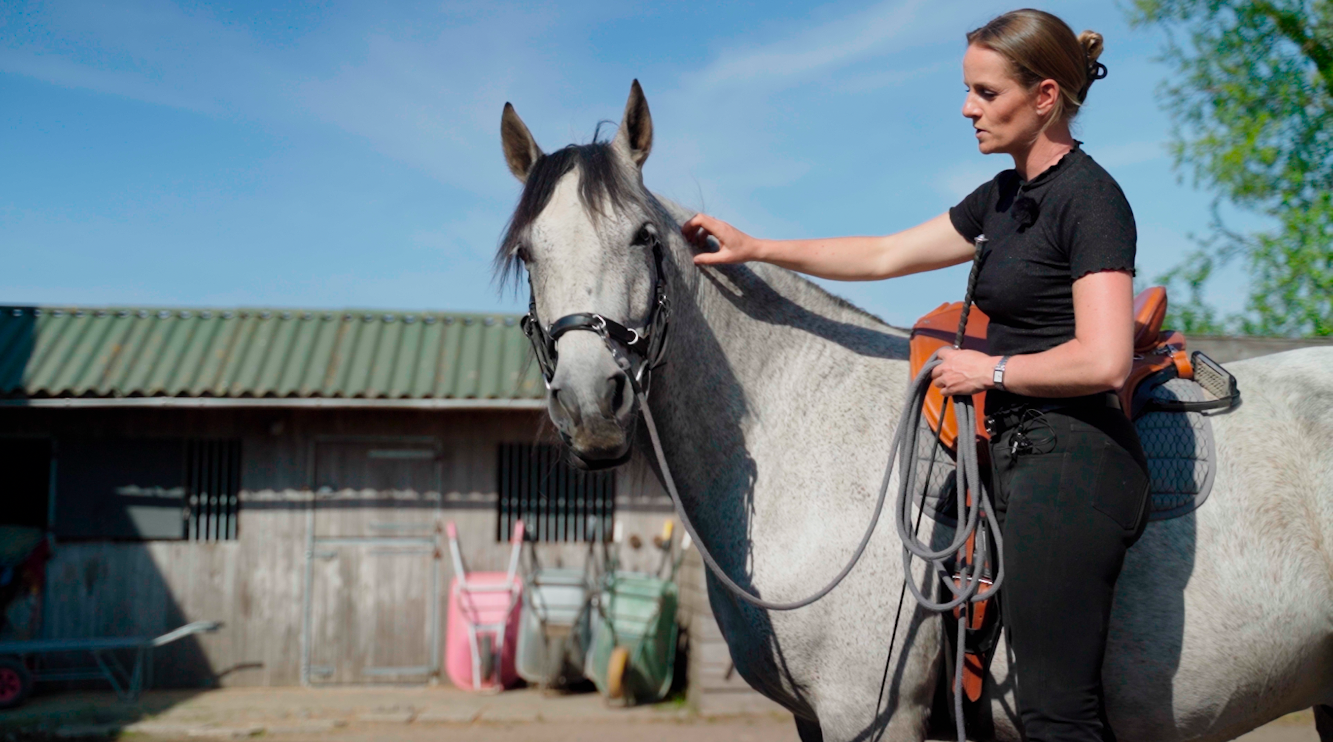 The Complete Online Mounting challenge