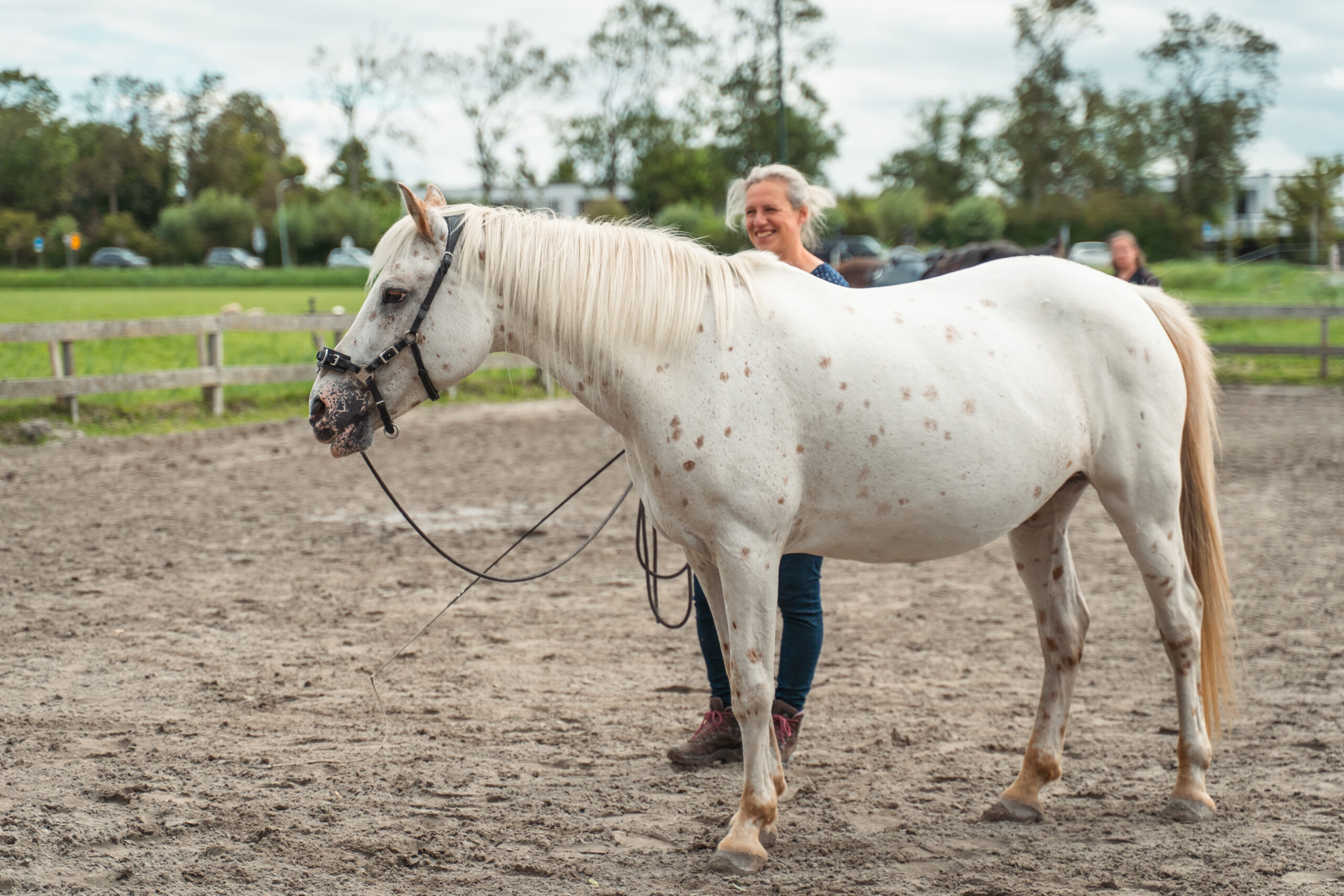 Trainingsfaciliteiten