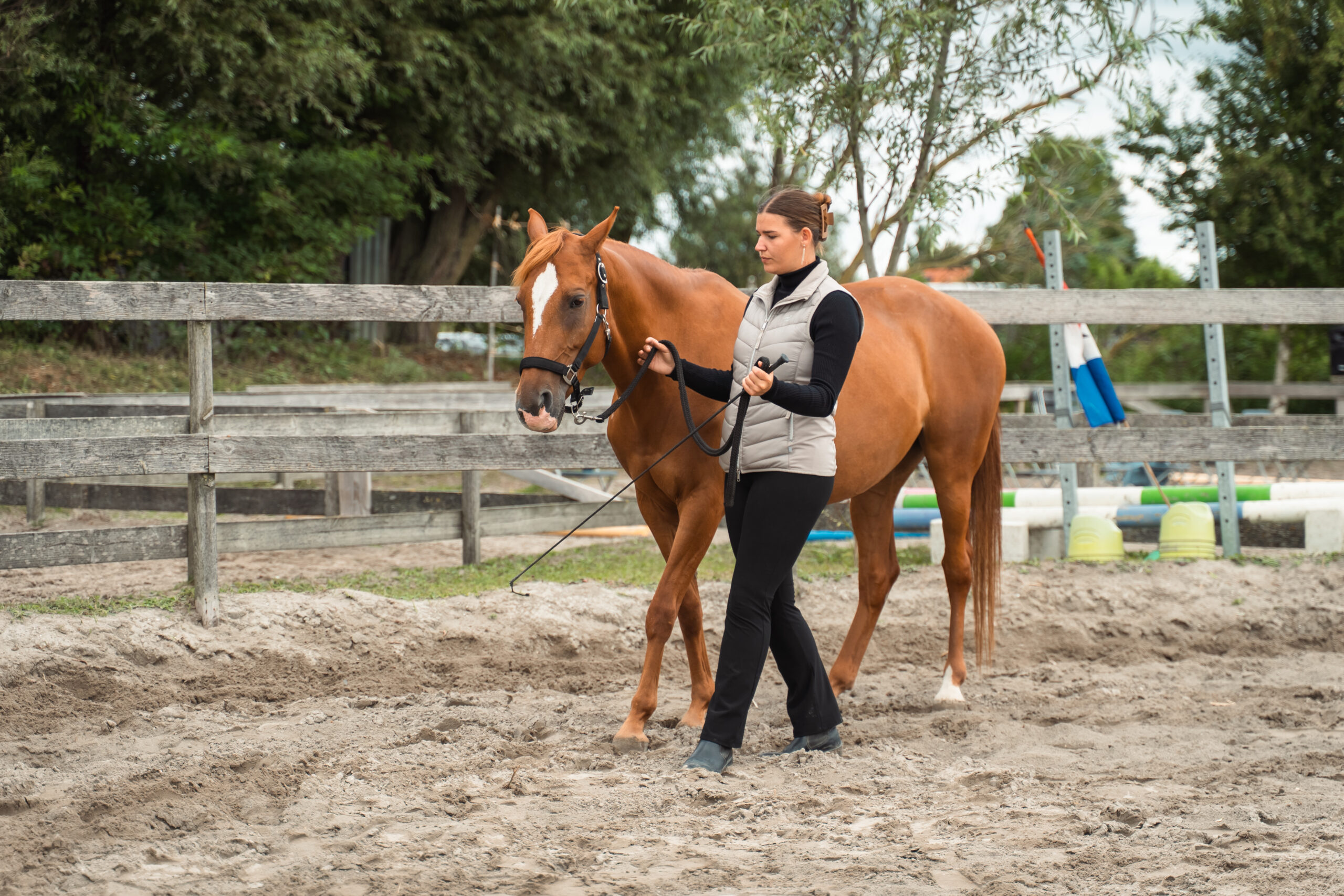 Betrokken groep gelijkgestemde