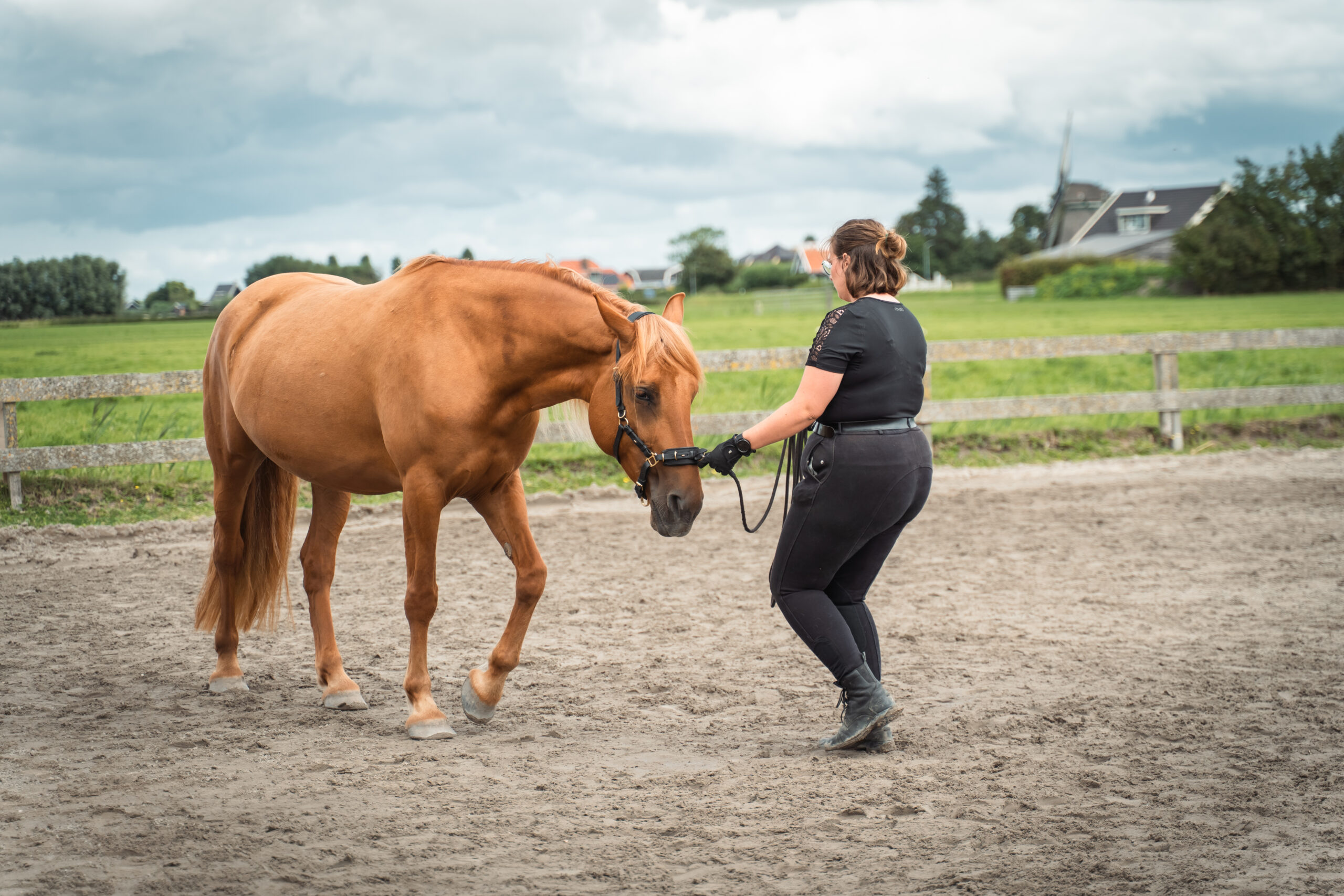Individuele training en begeleiding