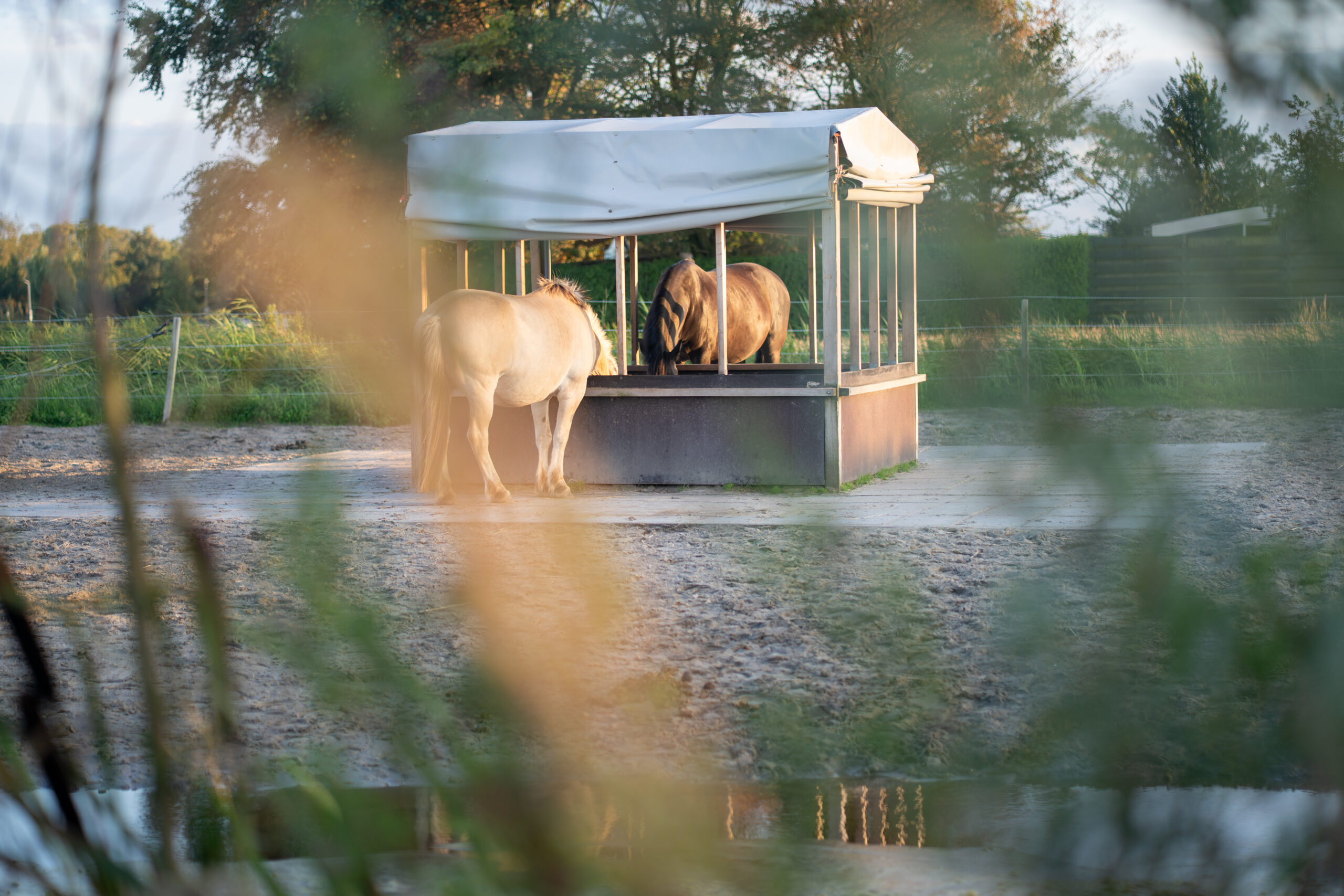 24/7 buiten stalling